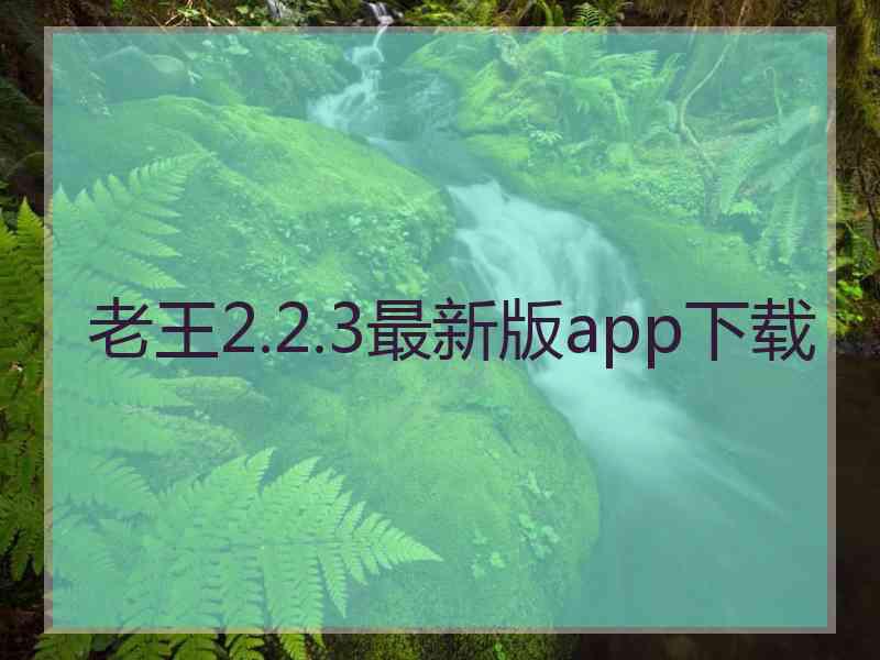 老王2.2.3最新版app下载