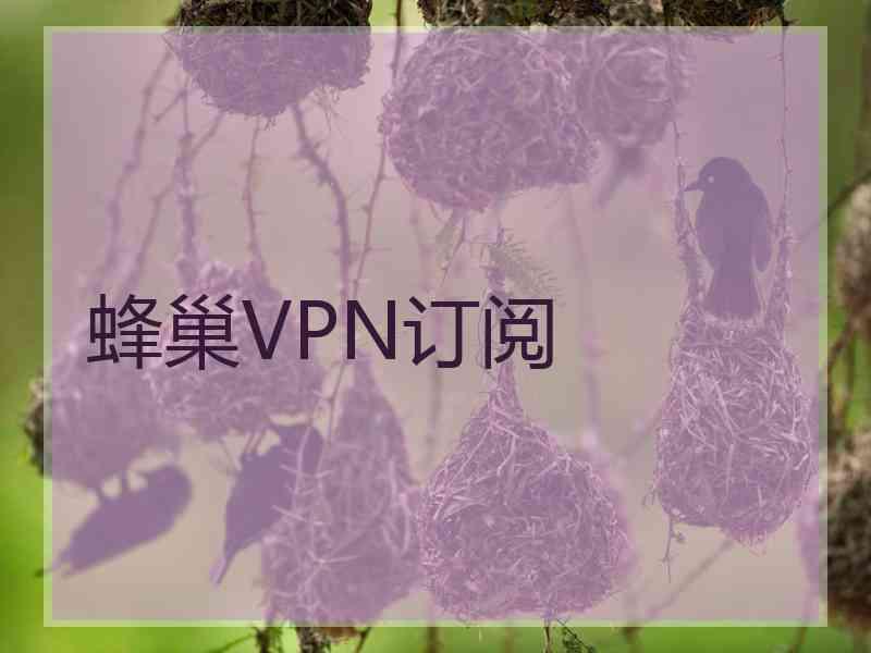 蜂巢VPN订阅