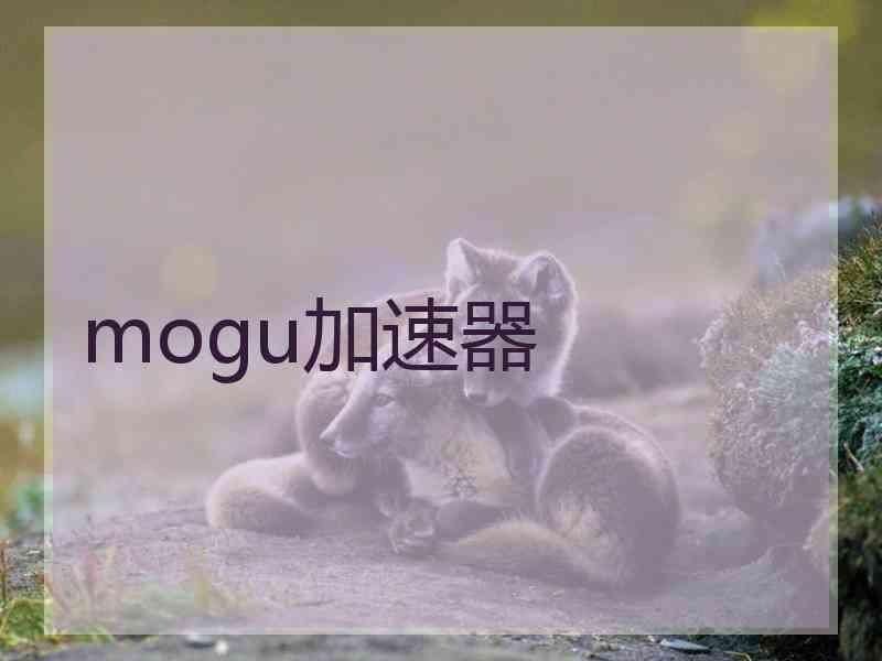 mogu加速器