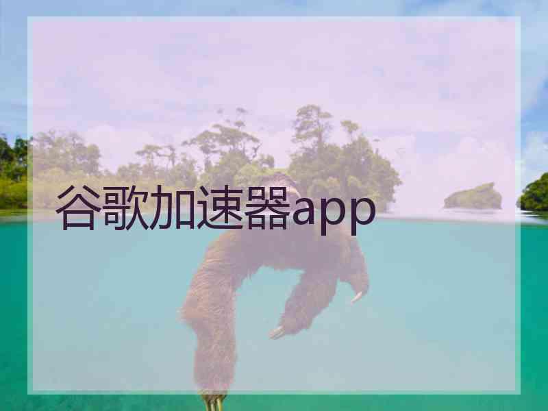 谷歌加速器app