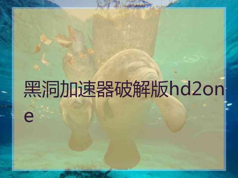 黑洞加速器破解版hd2one