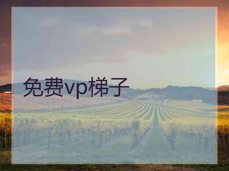 免费vp梯子