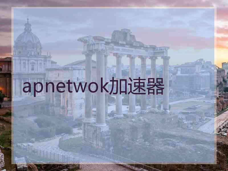 apnetwok加速器