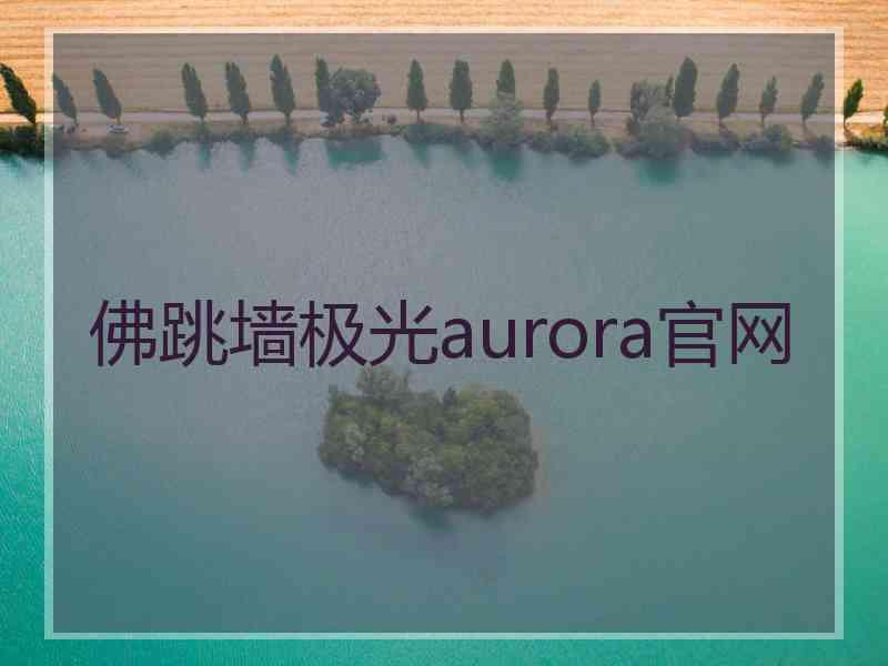 佛跳墙极光aurora官网