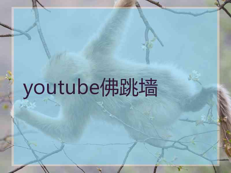 youtube佛跳墙