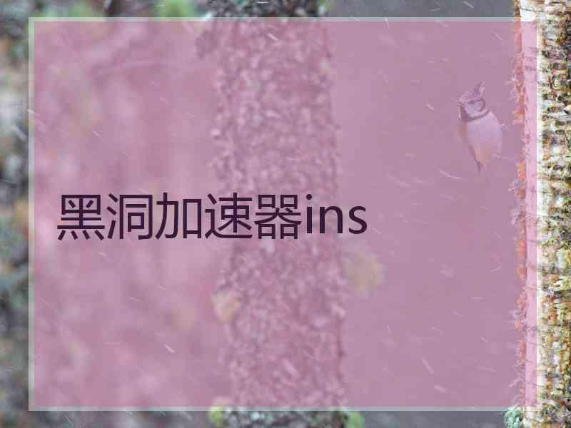 黑洞加速器ins