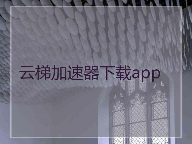 云梯加速器下载app