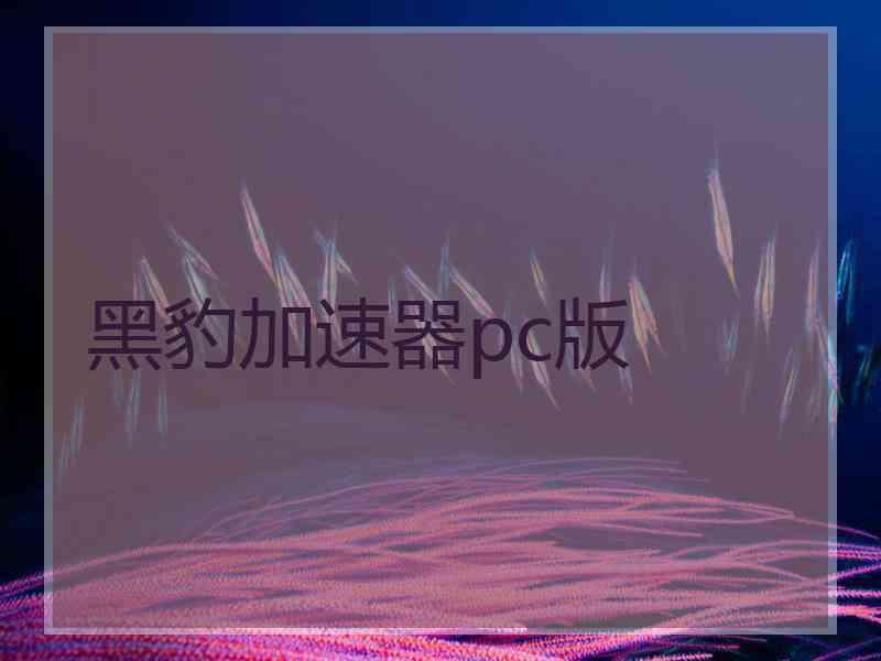 黑豹加速器pc版