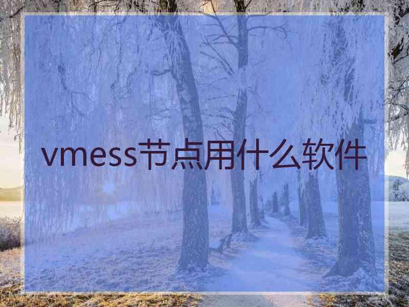 vmess节点用什么软件