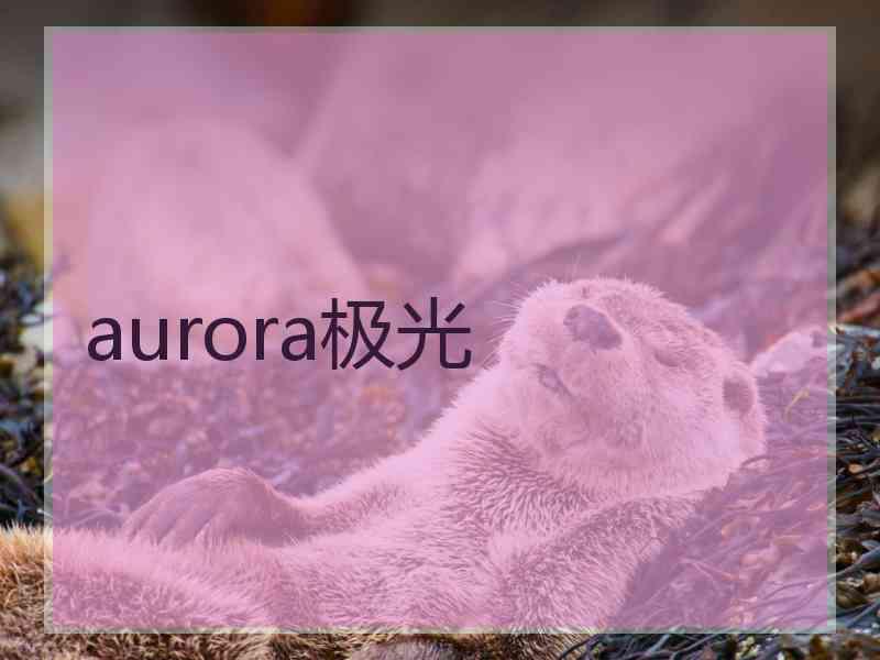 aurora极光