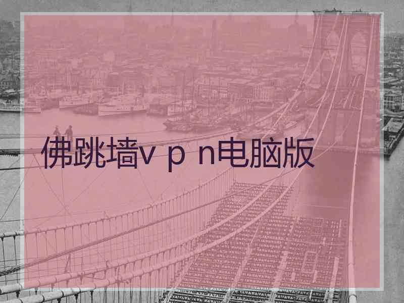 佛跳墙v p n电脑版