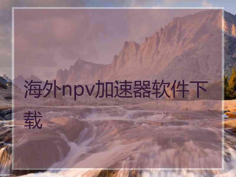 海外npv加速器软件下载