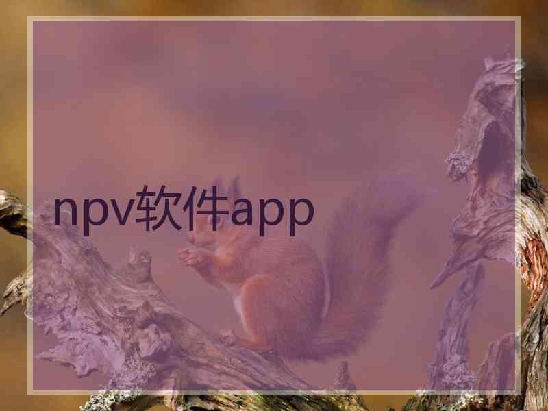 npv软件app