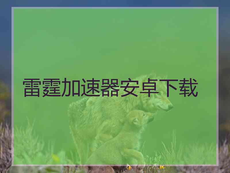 雷霆加速器安卓下载