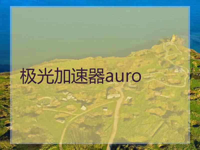 极光加速器auro