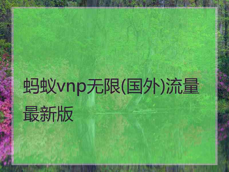 蚂蚁vnp无限(国外)流量最新版