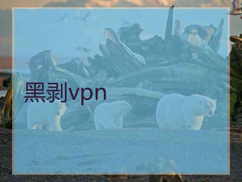 黑剥vpn