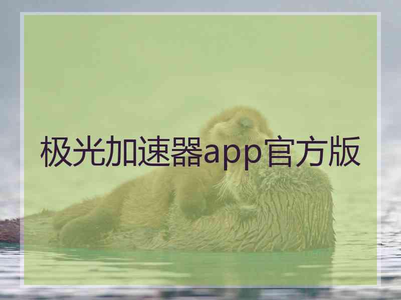 极光加速器app官方版