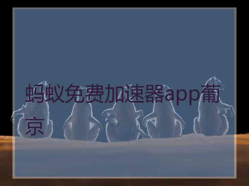 蚂蚁免费加速器app葡京