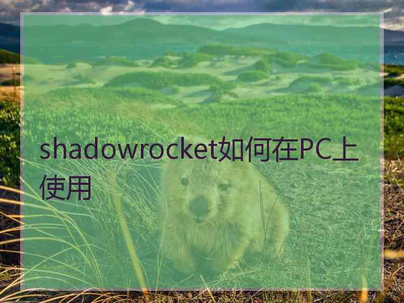 shadowrocket如何在PC上使用