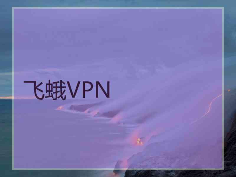 飞蛾VPN