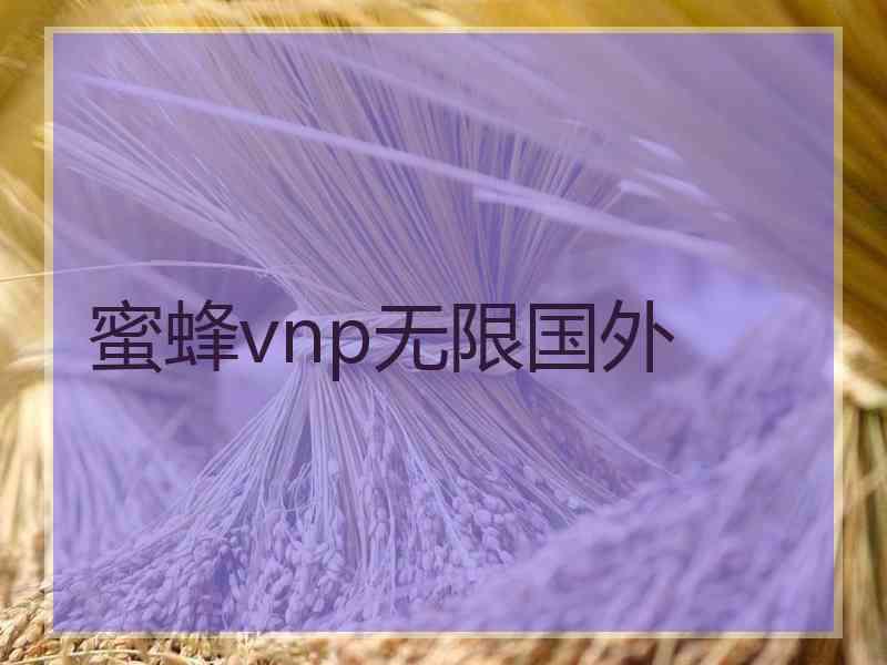 蜜蜂vnp无限国外