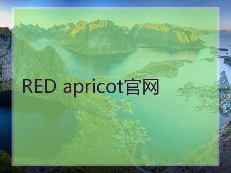 RED apricot官网