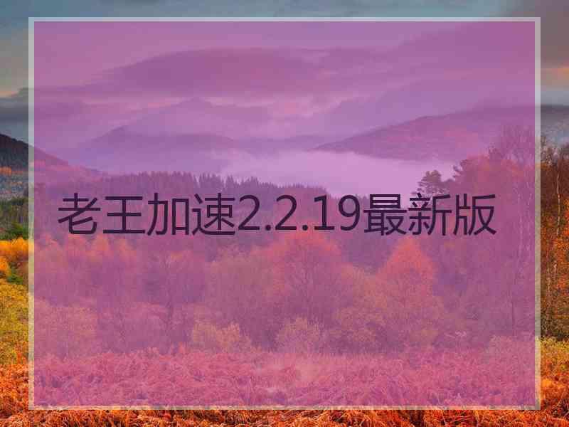 老王加速2.2.19最新版