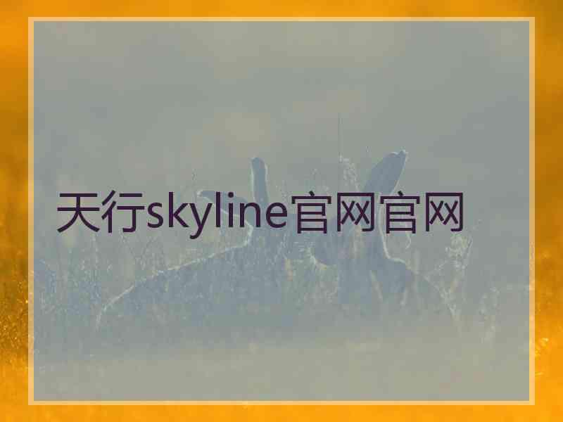 天行skyline官网官网