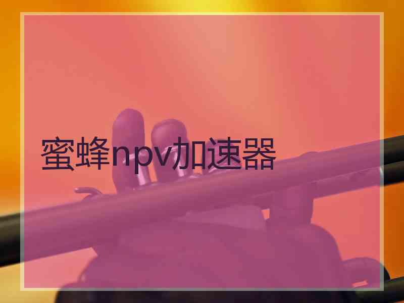 蜜蜂npv加速器