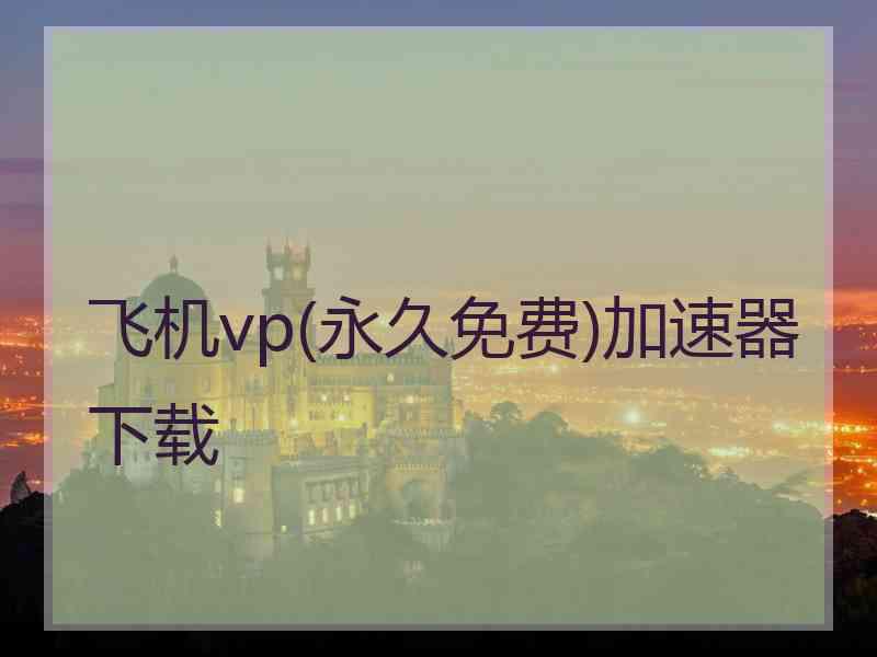 飞机vp(永久免费)加速器下载