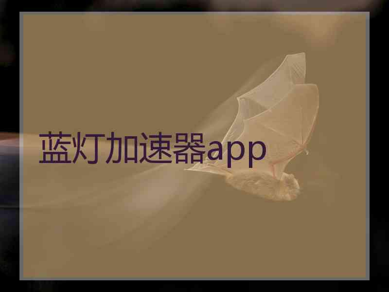 蓝灯加速器app