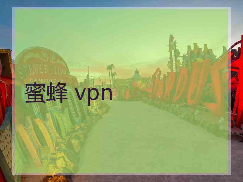 蜜蜂 vpn