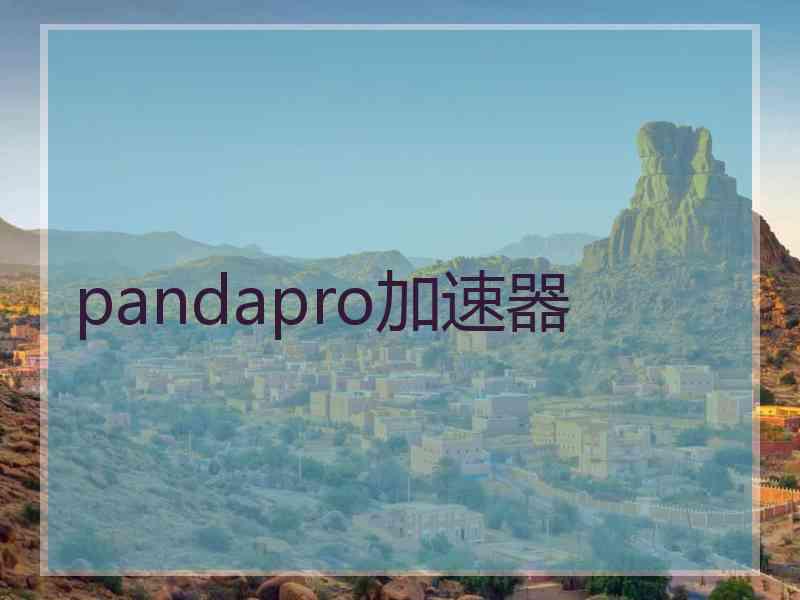 pandapro加速器