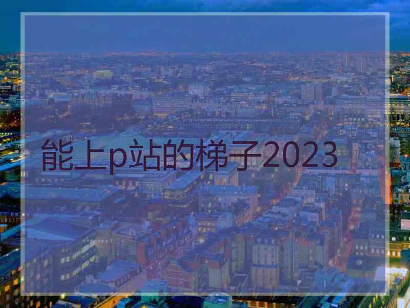 能上p站的梯子2023