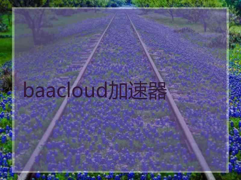 baacloud加速器