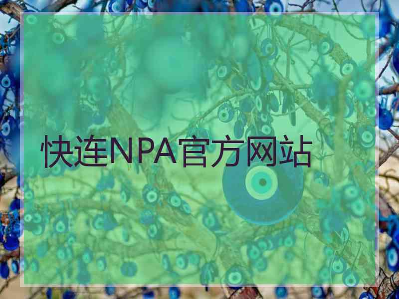 快连NPA官方网站