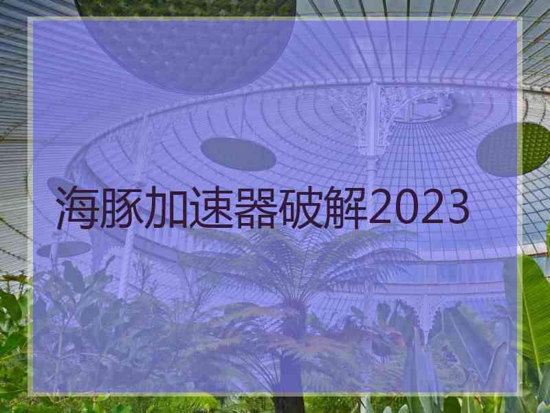 海豚加速器破解2023