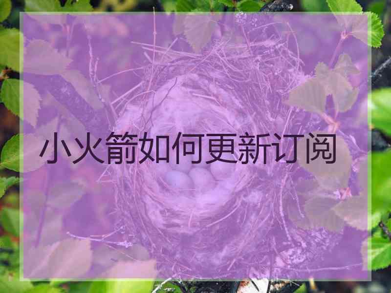 小火箭如何更新订阅