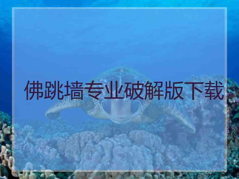 佛跳墙专业破解版下载