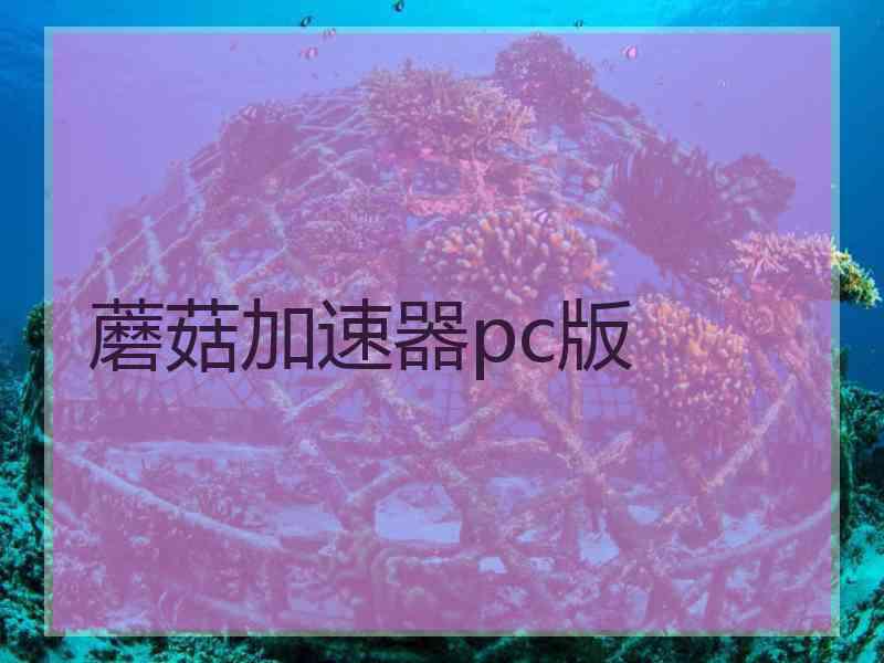 蘑菇加速器pc版