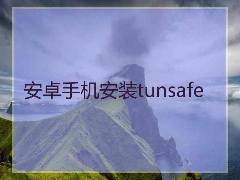 安卓手机安装tunsafe