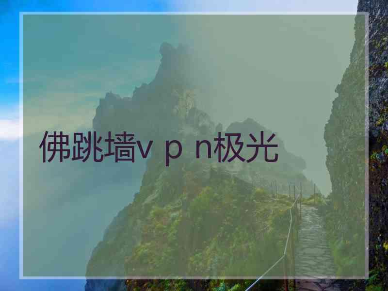 佛跳墙v p n极光