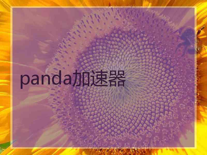 panda加速器