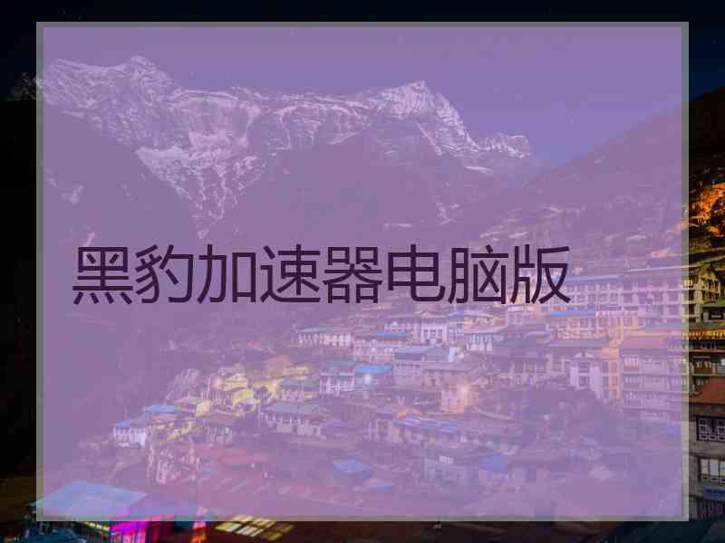 黑豹加速器电脑版