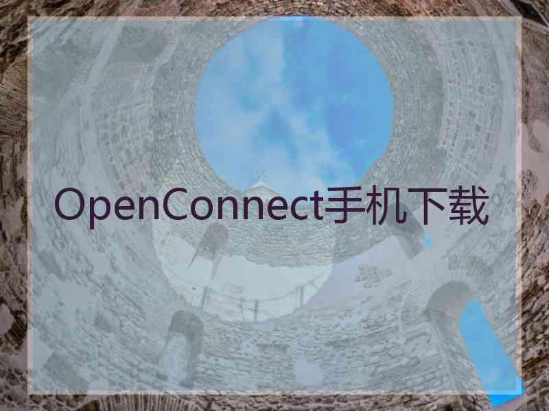 OpenConnect手机下载