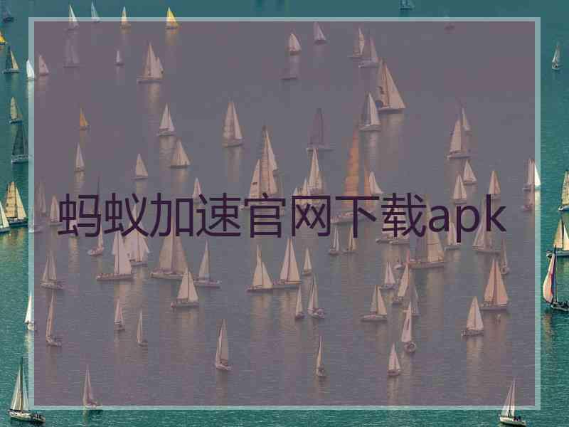 蚂蚁加速官网下载apk