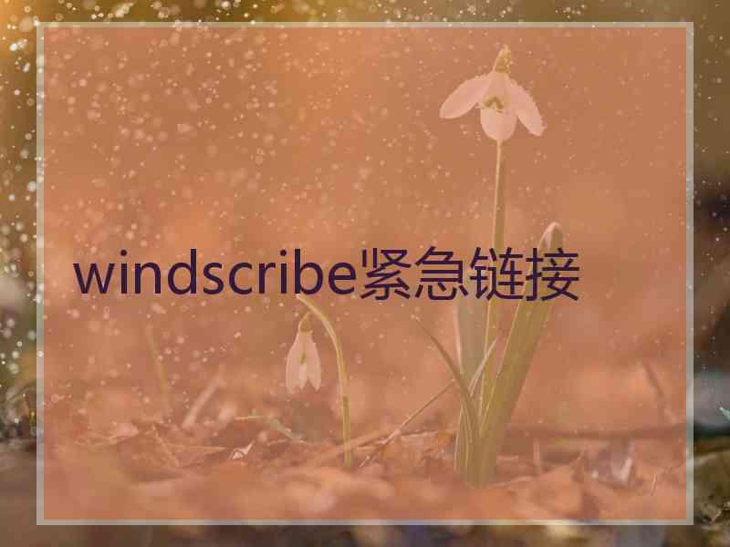 windscribe紧急链接