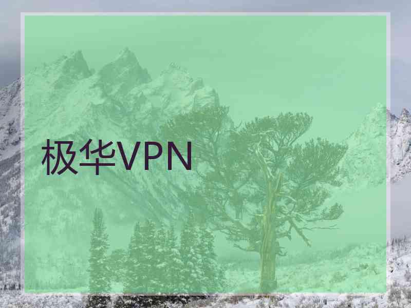 极华VPN