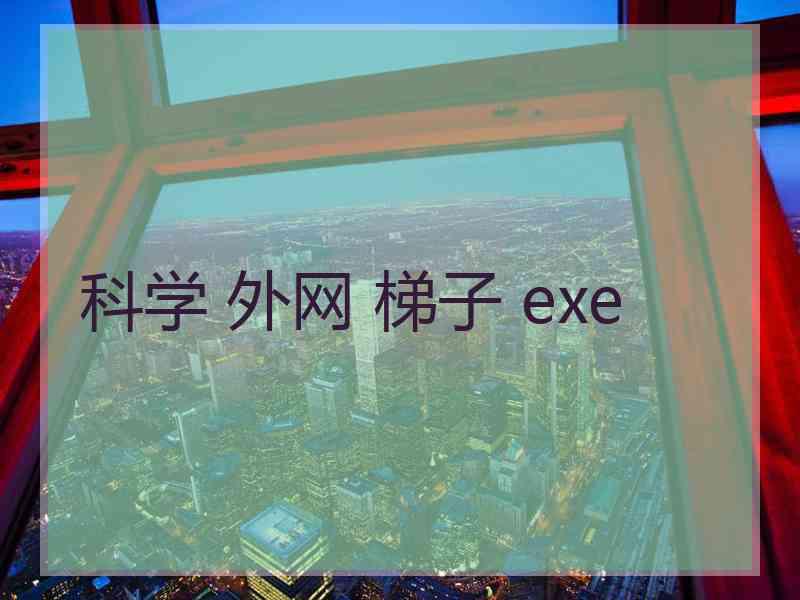 科学 外网 梯子 exe